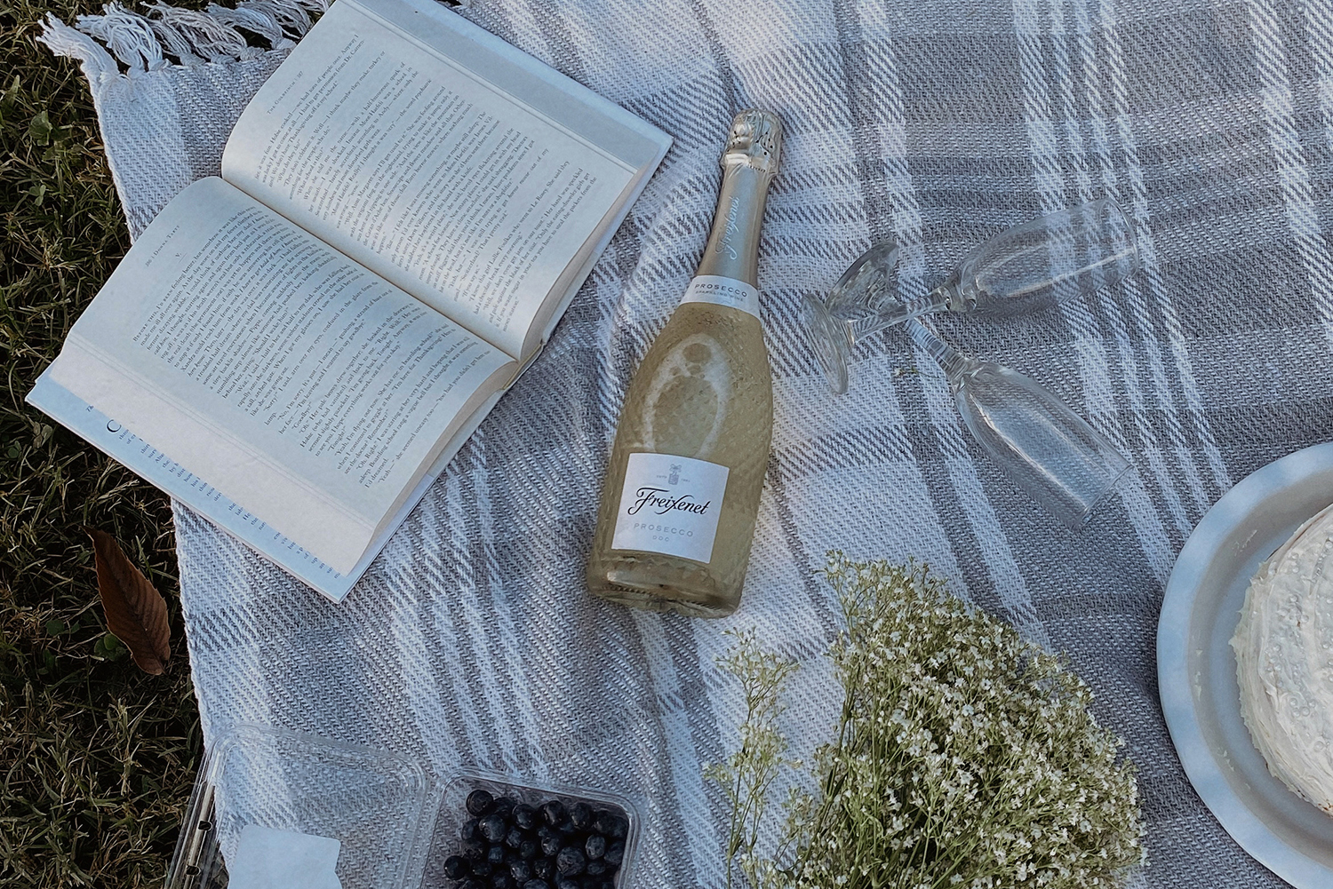 picnic blanket with open book, champagne, flower, blueberries, and cake